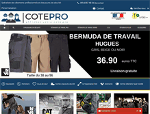 Tablet Screenshot of cotepro.fr